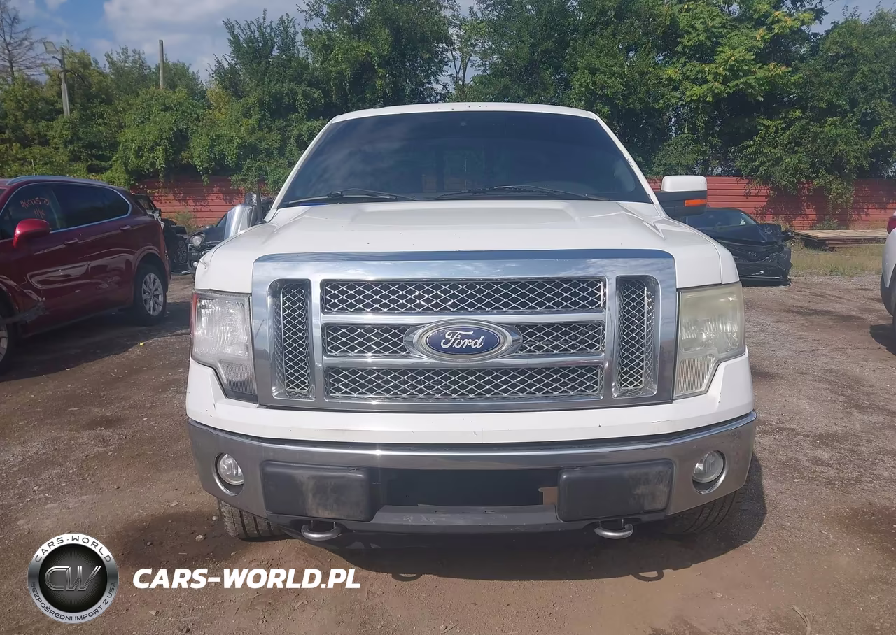 2010 Ford F-150 Fx4-Harley-Davidson-King Ranch-Lariat-Platinum-Xl-Xlt VIN:1FTFW1EV5AFA47879 - 11