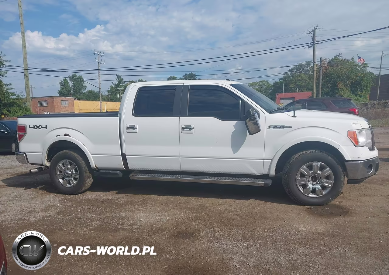 2010 Ford F-150 Fx4-Harley-Davidson-King Ranch-Lariat-Platinum-Xl-Xlt VIN:1FTFW1EV5AFA47879 - 12