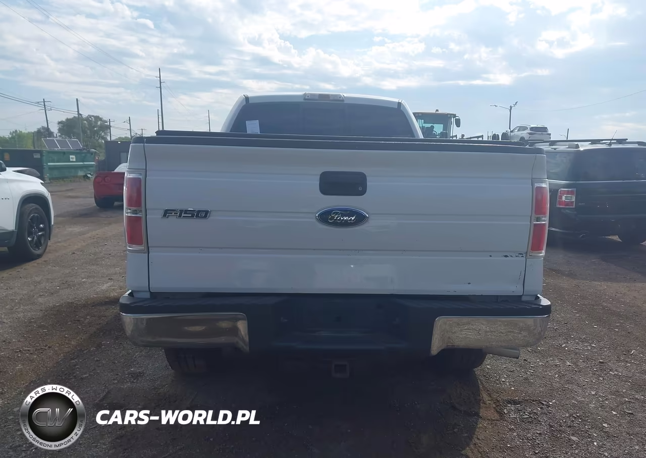 2010 Ford F-150 Fx4-Harley-Davidson-King Ranch-Lariat-Platinum-Xl-Xlt VIN:1FTFW1EV5AFA47879 - 15