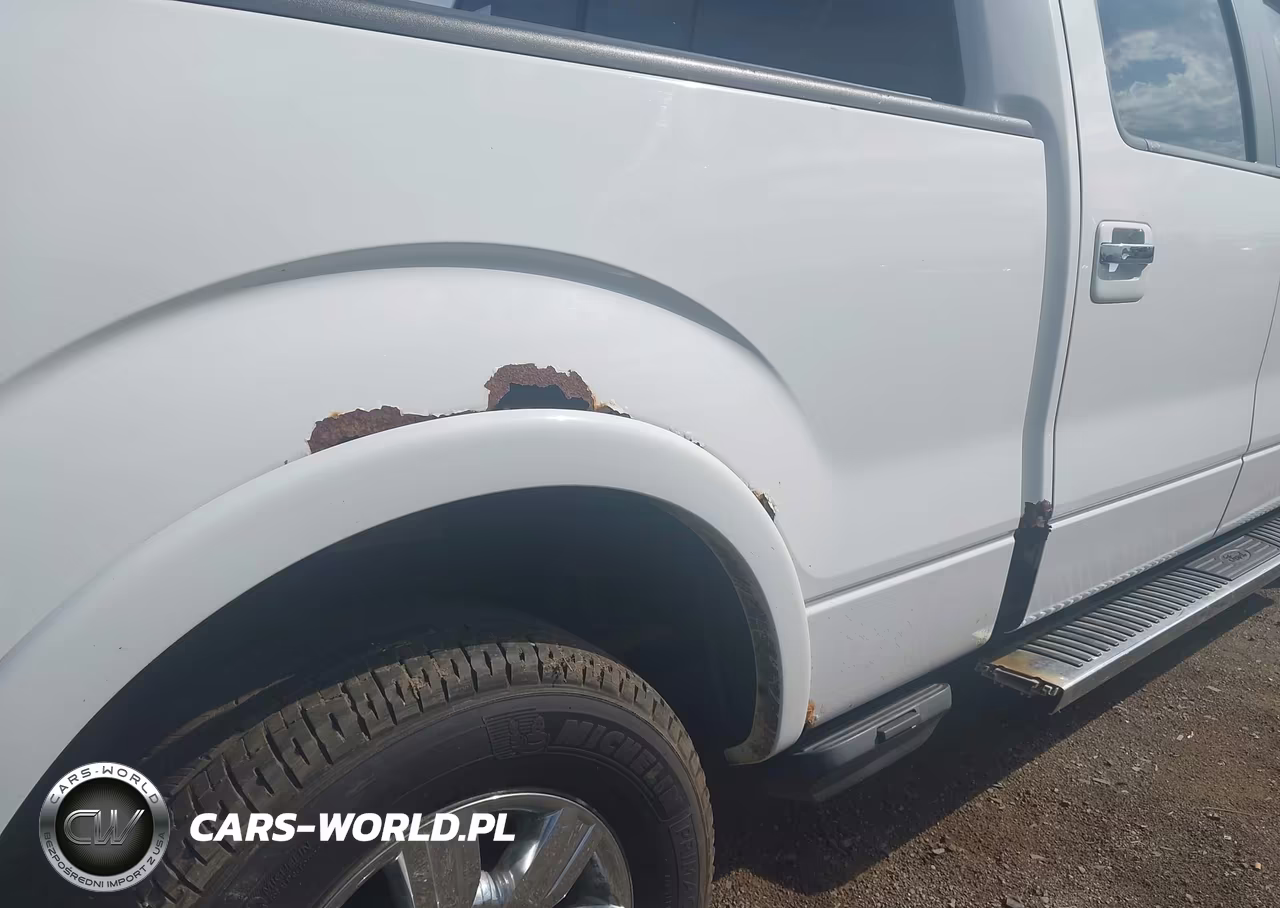 2010 Ford F-150 Fx4-Harley-Davidson-King Ranch-Lariat-Platinum-Xl-Xlt VIN:1FTFW1EV5AFA47879 - 18