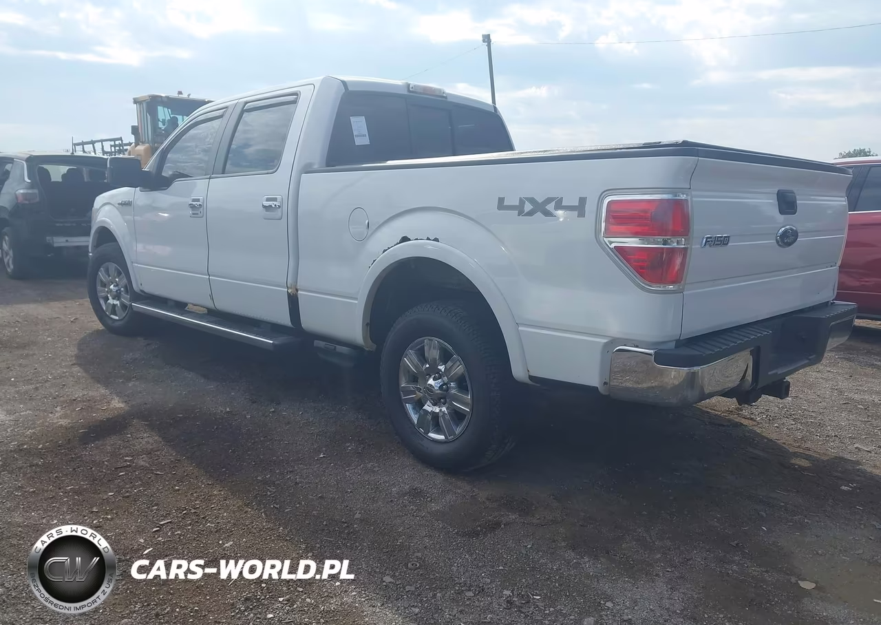 2010 Ford F-150 Fx4-Harley-Davidson-King Ranch-Lariat-Platinum-Xl-Xlt VIN:1FTFW1EV5AFA47879 - 3