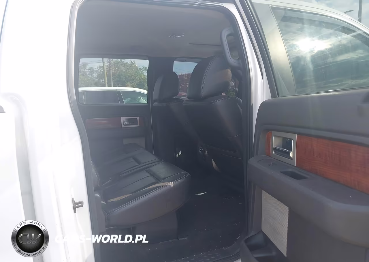 2010 Ford F-150 Fx4-Harley-Davidson-King Ranch-Lariat-Platinum-Xl-Xlt VIN:1FTFW1EV5AFA47879 - 8