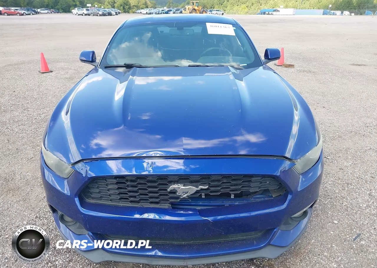 2015 Ford Mustang V6 VIN:1FA6P8AM8F5369566 - 12