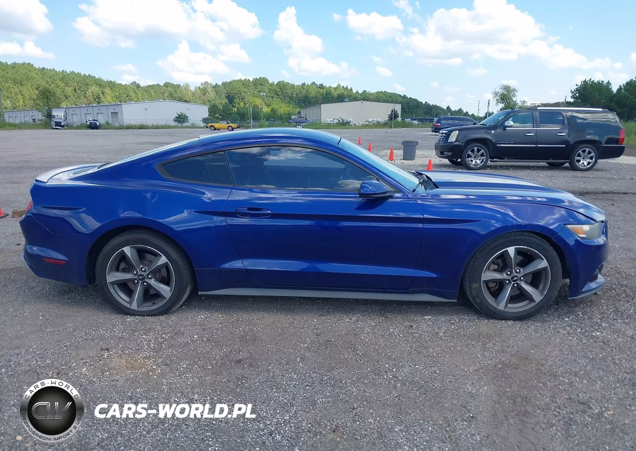 2015 Ford Mustang V6 VIN:1FA6P8AM8F5369566 - 13