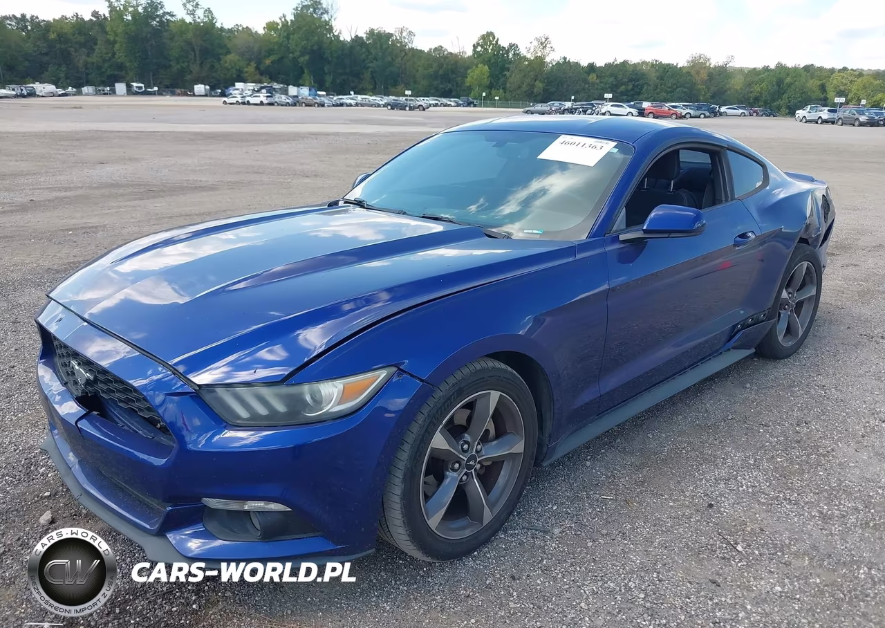 2015 Ford Mustang V6 VIN:1FA6P8AM8F5369566 - 2