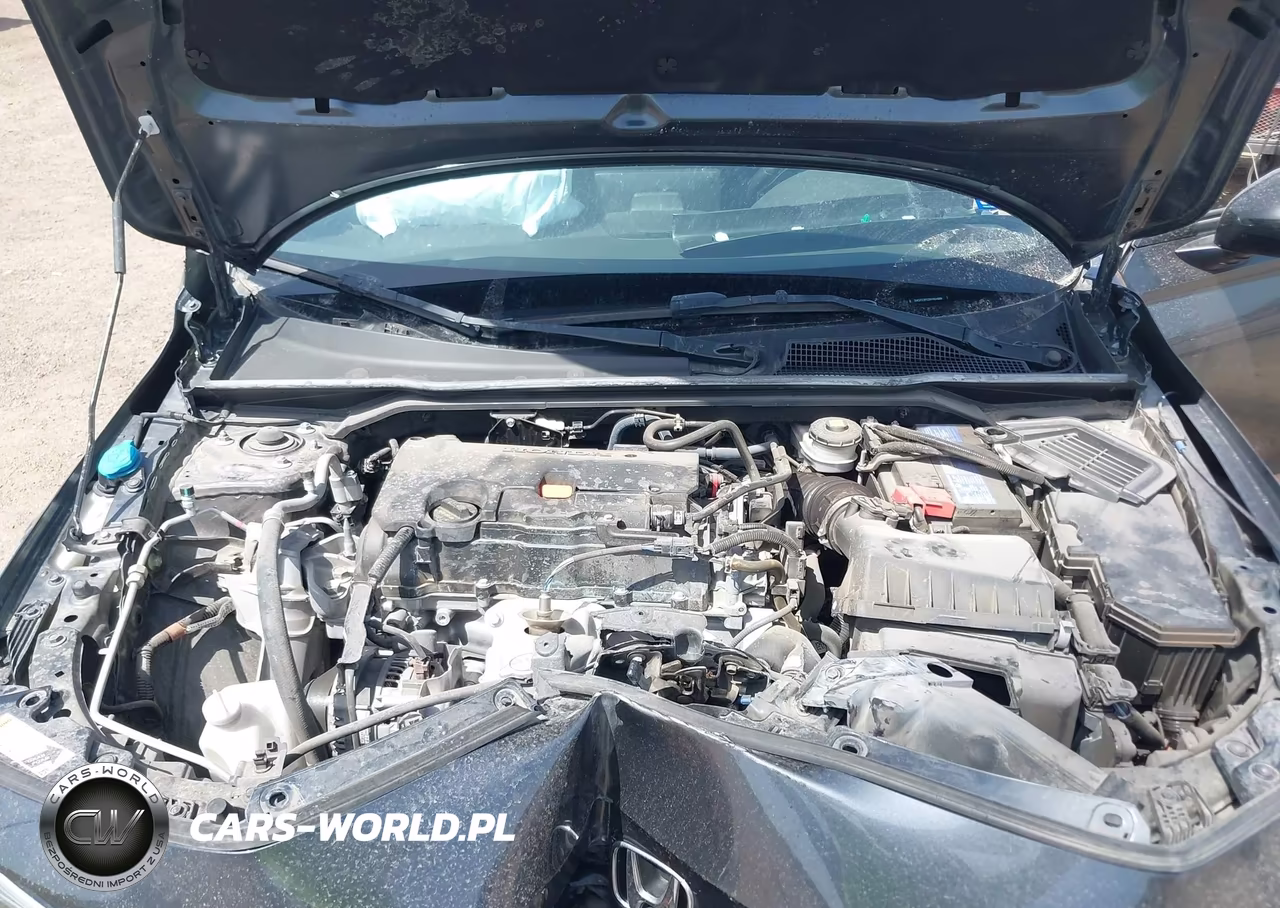 2024 Honda Civic Sport VIN:2HGFE2F52RH504666 - 10