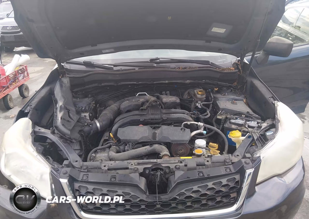 2016 Subaru Forester 2.5I VIN:JF2SJAAC9GG442038 - 10