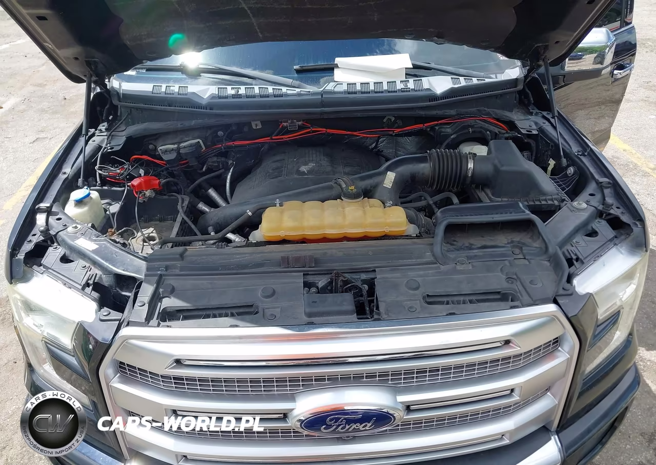 2016 Ford F-150 Platinum VIN:1FTEW1EG3GFB00925 - 10