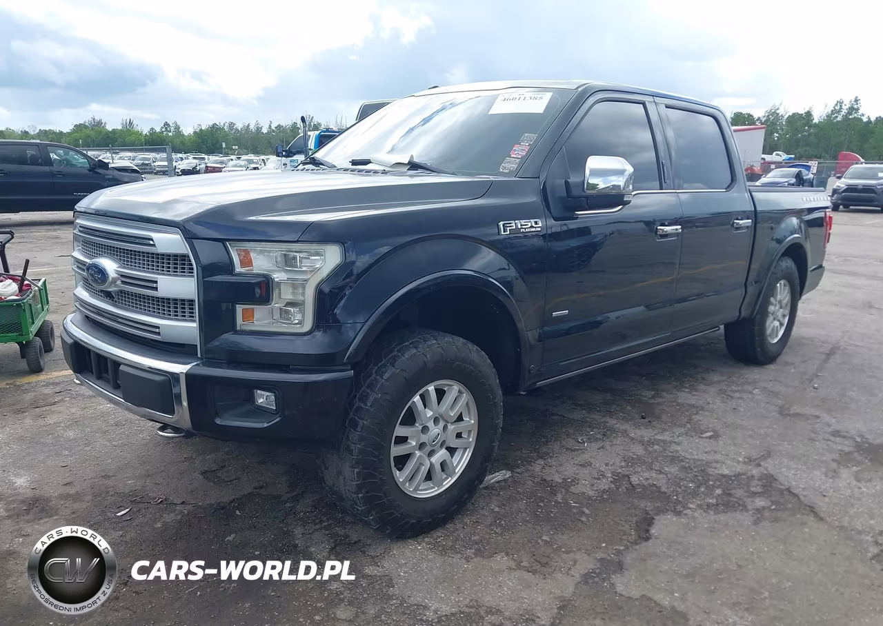 2016 Ford F-150 Platinum VIN:1FTEW1EG3GFB00925 - 2