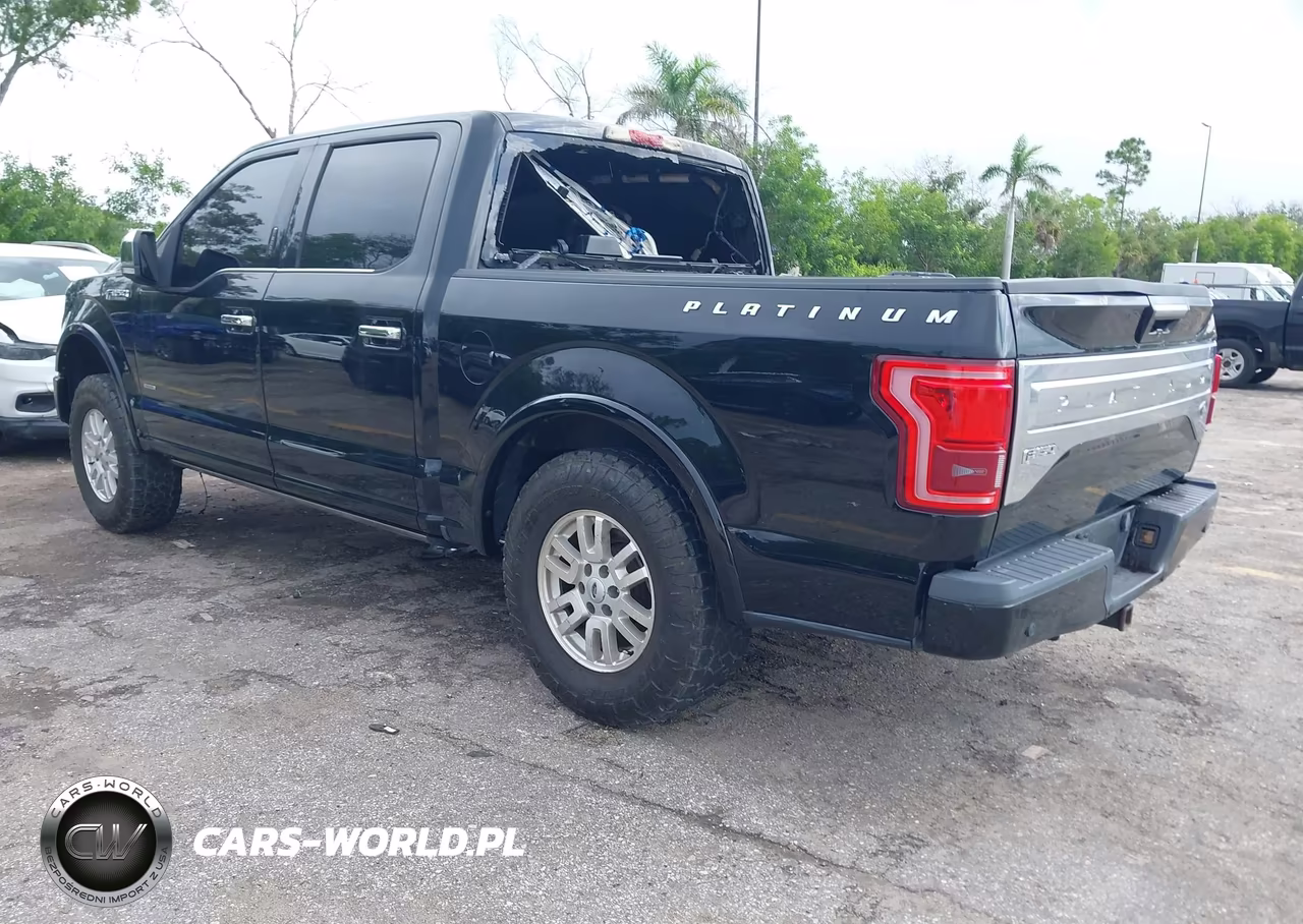 2016 Ford F-150 Platinum VIN:1FTEW1EG3GFB00925 - 3