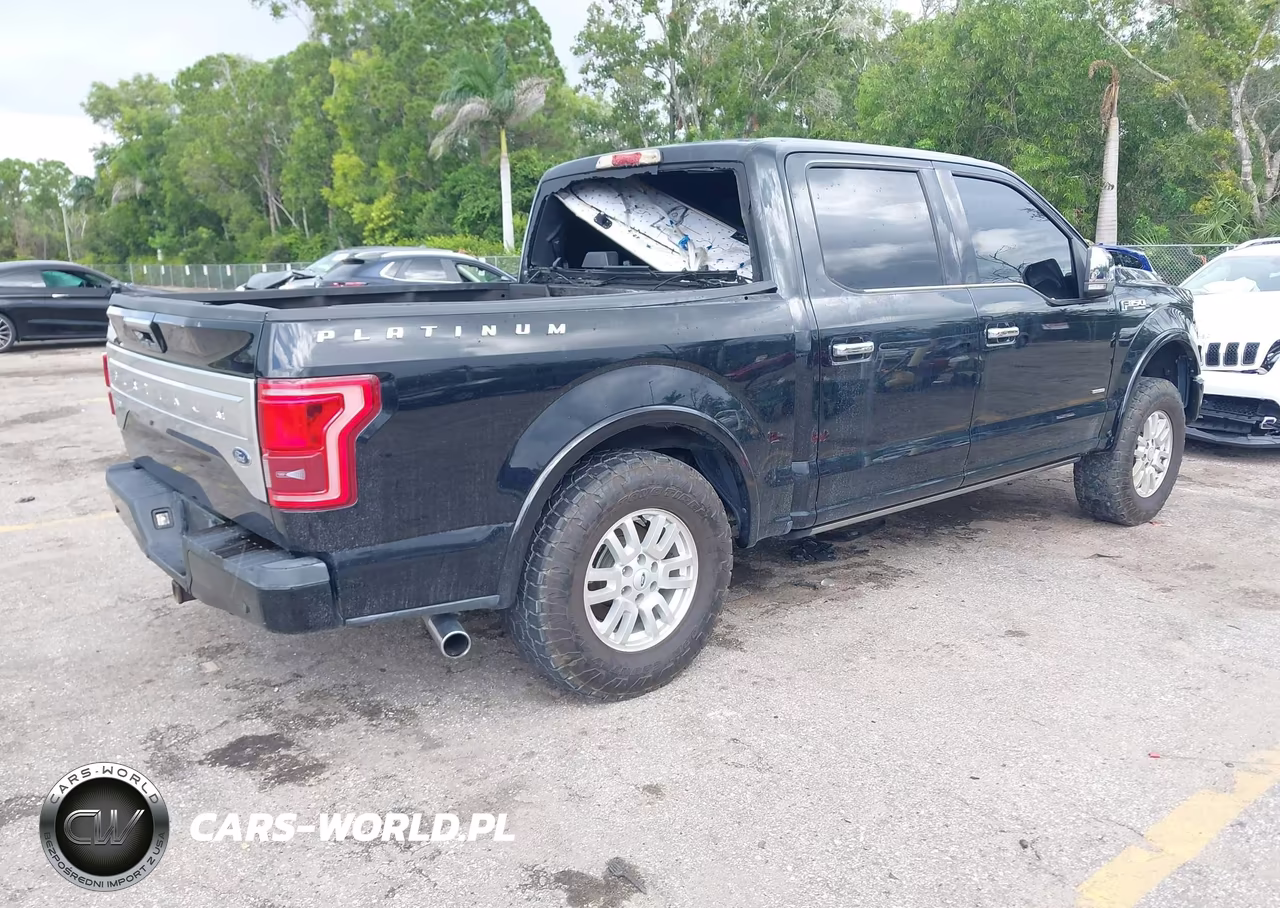 2016 Ford F-150 Platinum VIN:1FTEW1EG3GFB00925 - 4