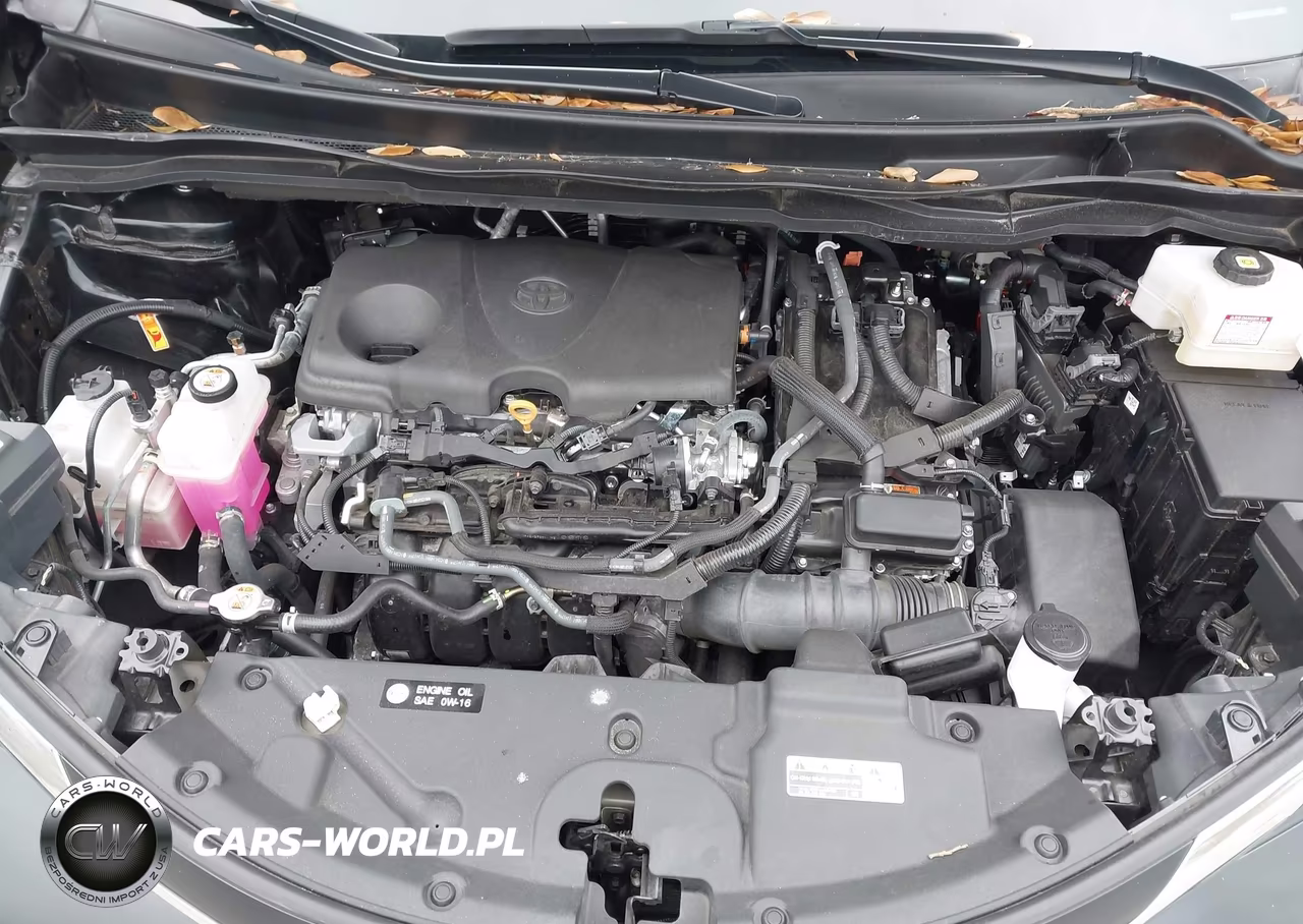 2025 Toyota Sienna Xle VIN:5TDYRKEC1SS289249 - 10