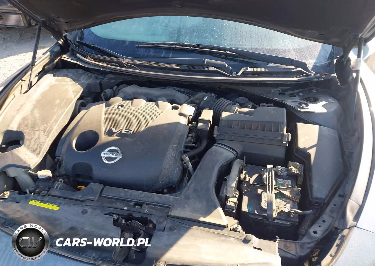 2014 Nissan Maxima 3.5 Sv VIN:1N4AA5AP5EC450975 - 10