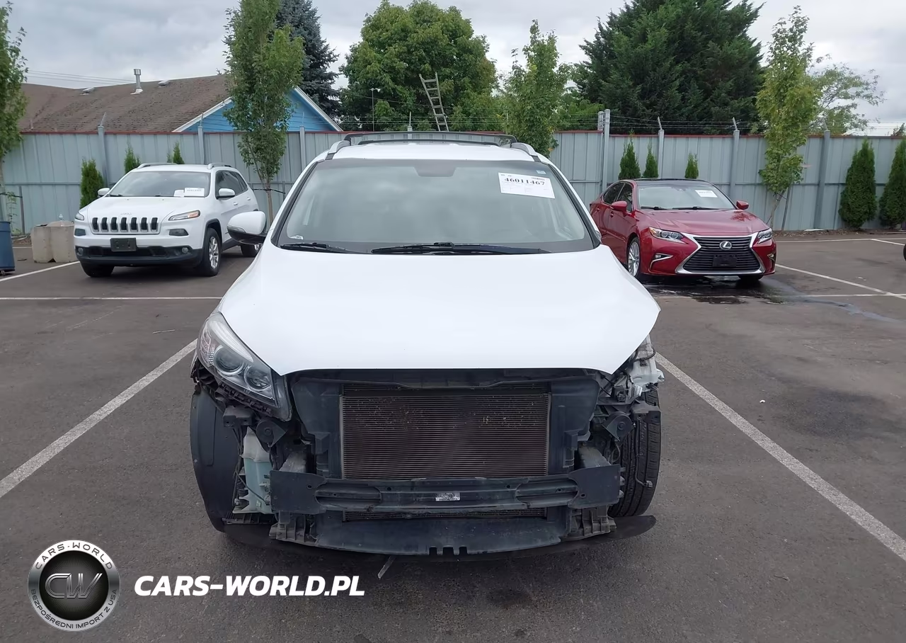2016 Kia Sorento 3.3L Lx VIN:5XYPGDA54GG032885 - 13