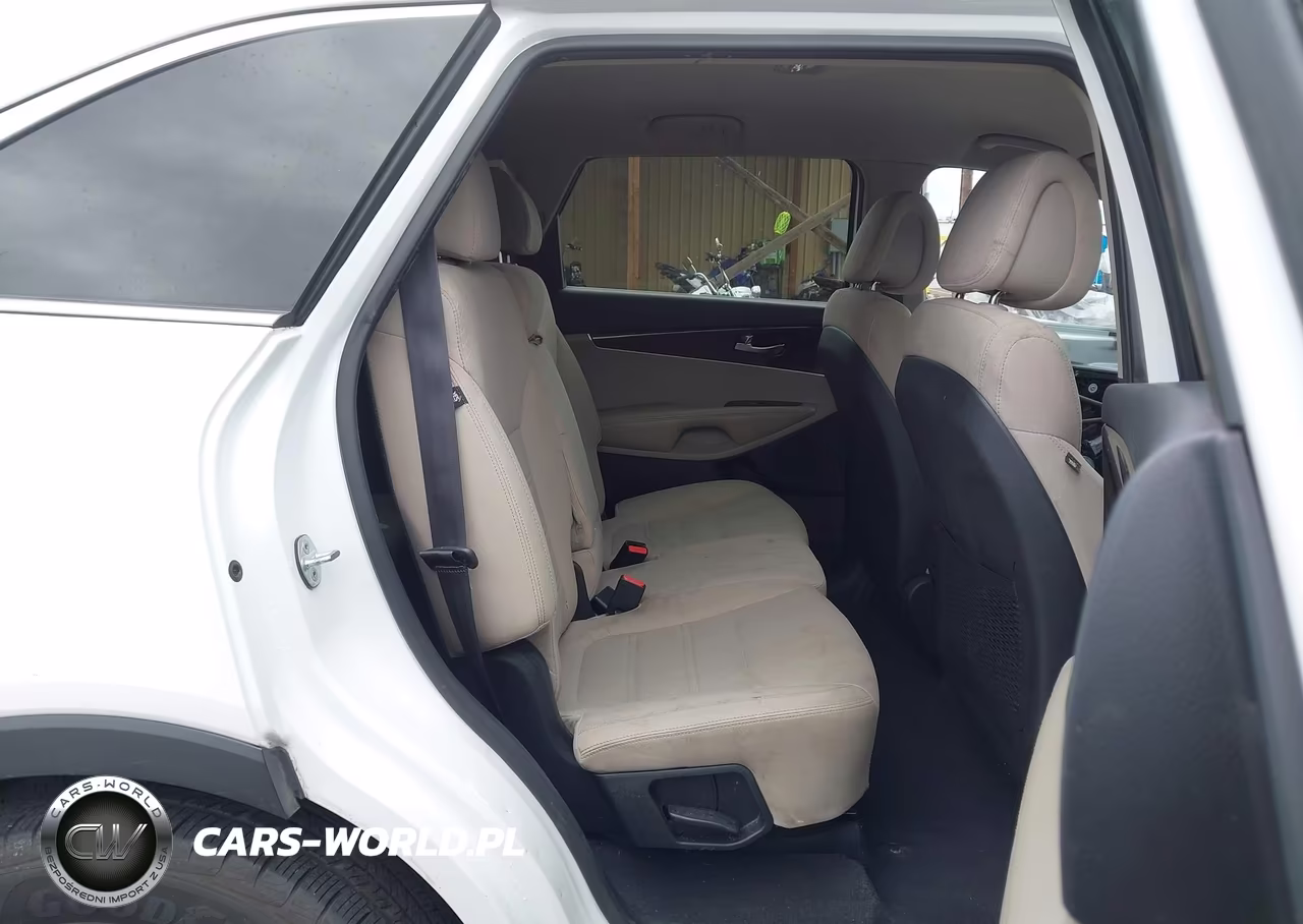 2016 Kia Sorento 3.3L Lx VIN:5XYPGDA54GG032885 - 8