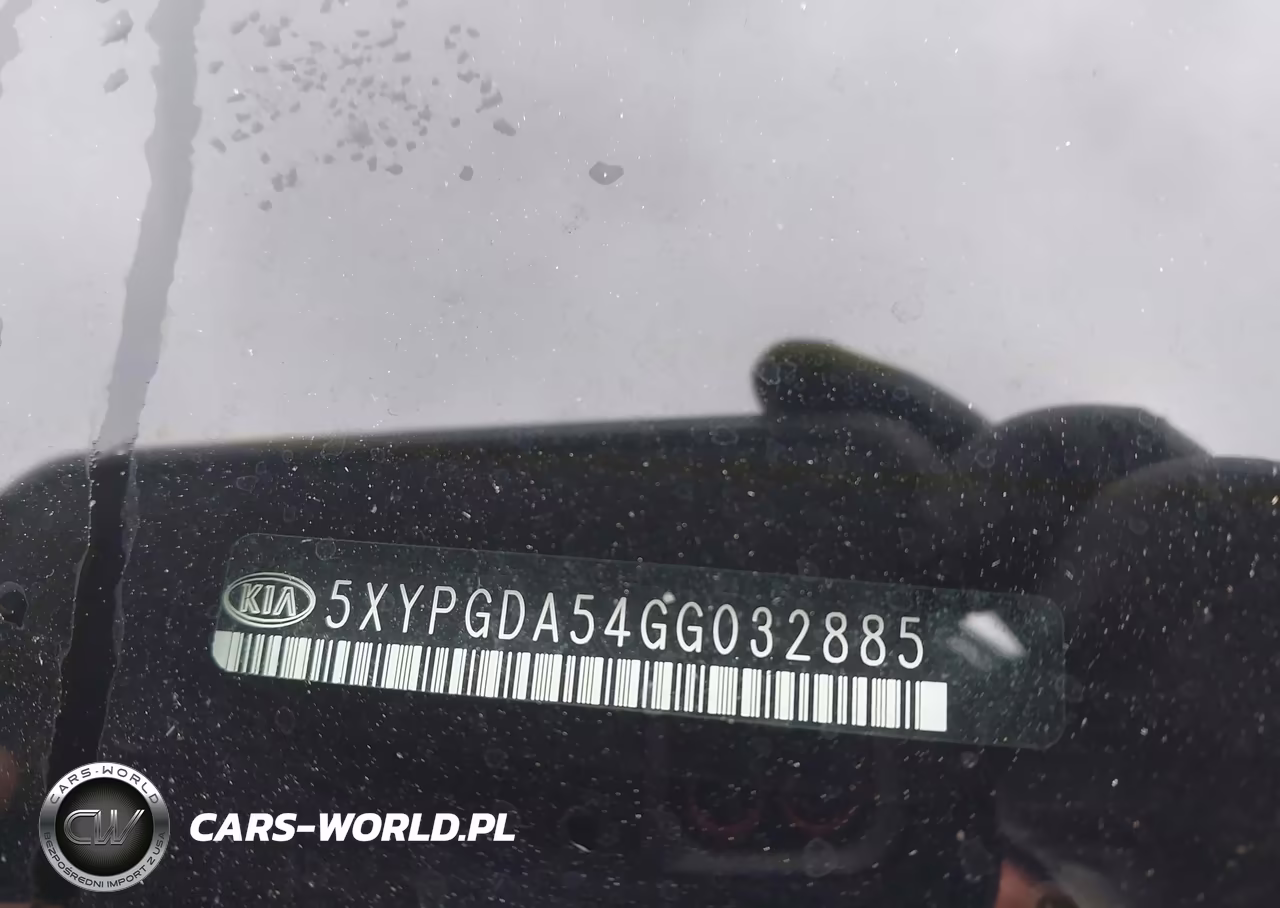 2016 Kia Sorento 3.3L Lx VIN:5XYPGDA54GG032885 - 9