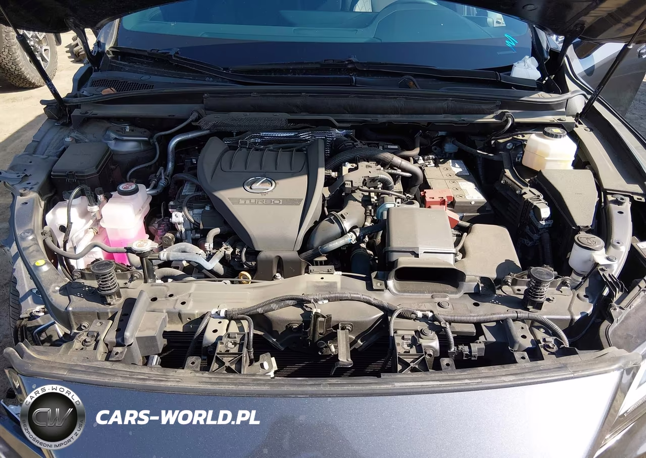 2024 Lexus Rx 350 Premium VIN:2T2BAMBA7RC043865 - 10