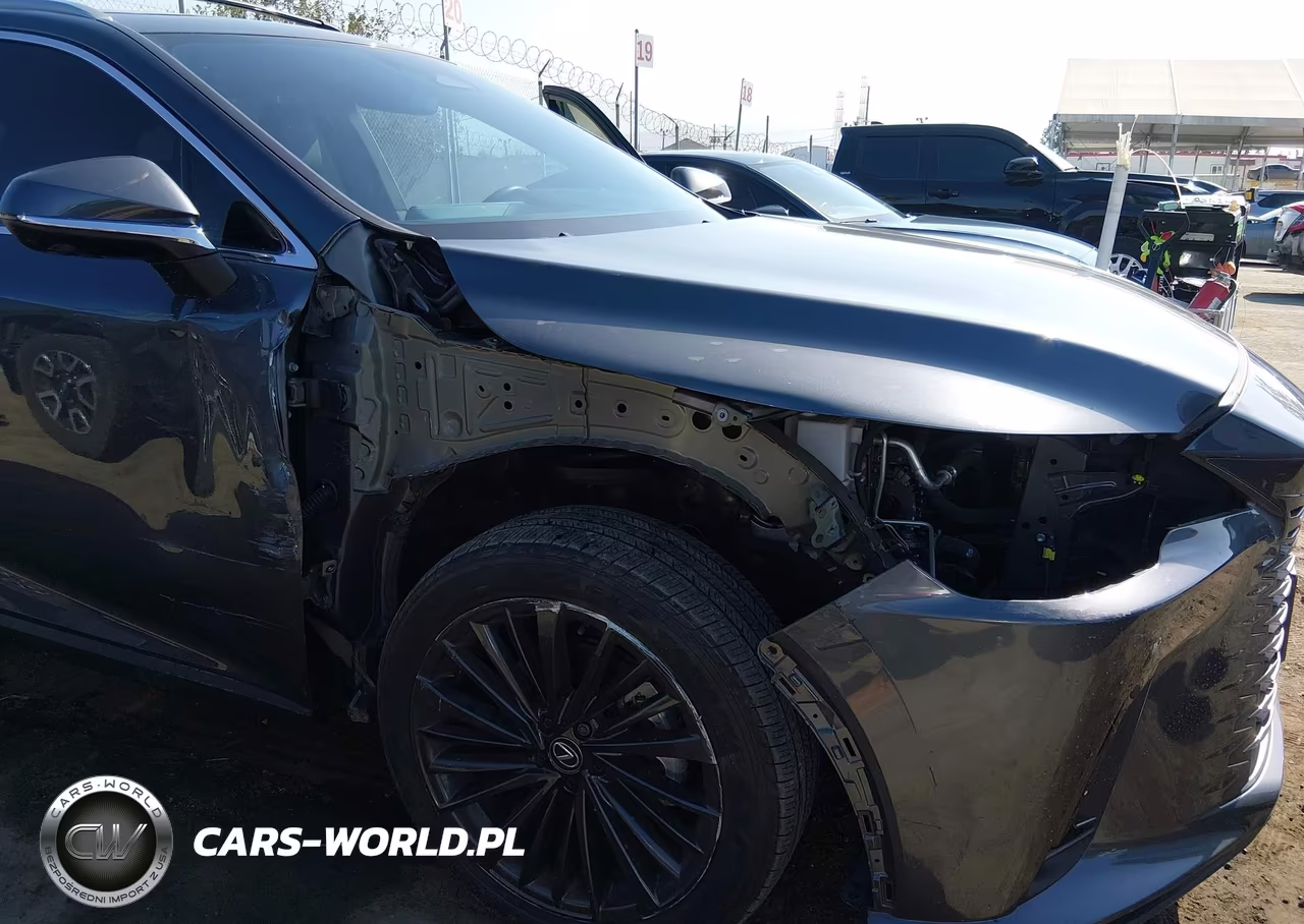 2024 Lexus Rx 350 Premium VIN:2T2BAMBA7RC043865 - 6