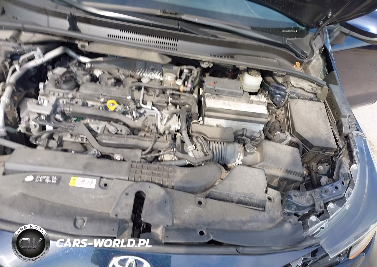2021 Toyota Corolla Se VIN:JTDS4MCE5MJ070704 - 10