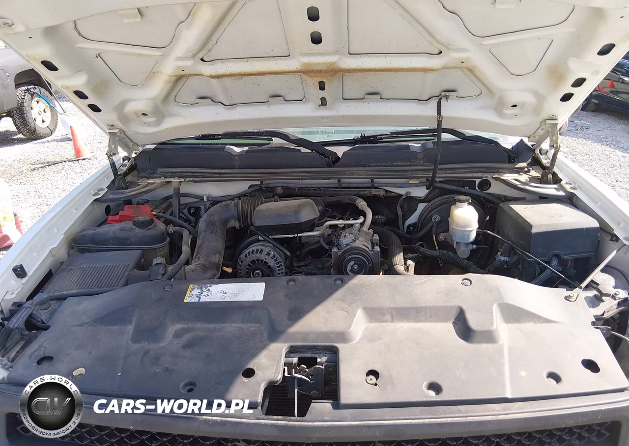 2010 Chevrolet Silverado 1500 Work Truck VIN:1GCPCPEX4AZ146631 - 10