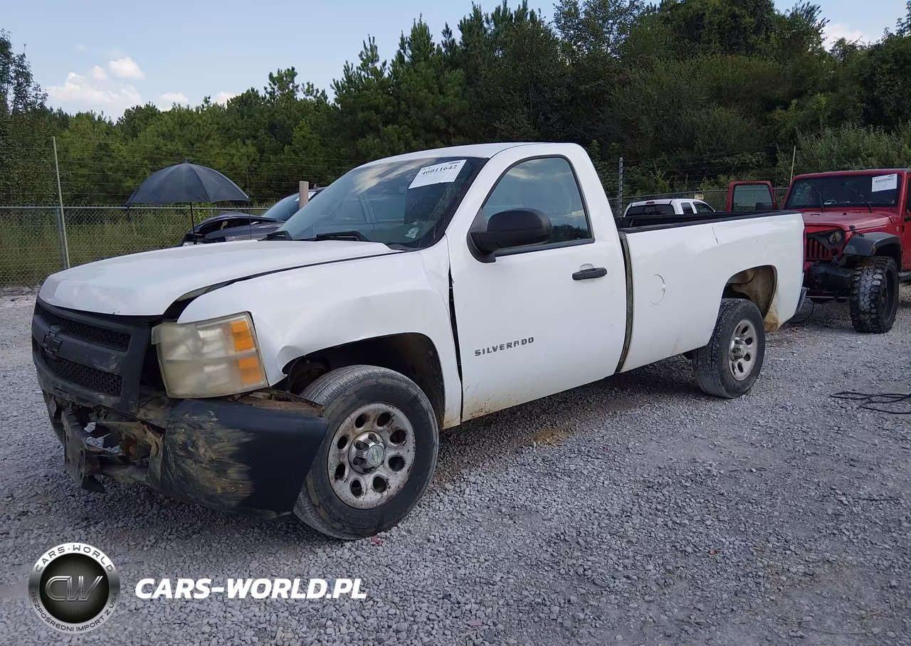 2010 Chevrolet Silverado 1500 Work Truck VIN:1GCPCPEX4AZ146631 - 2