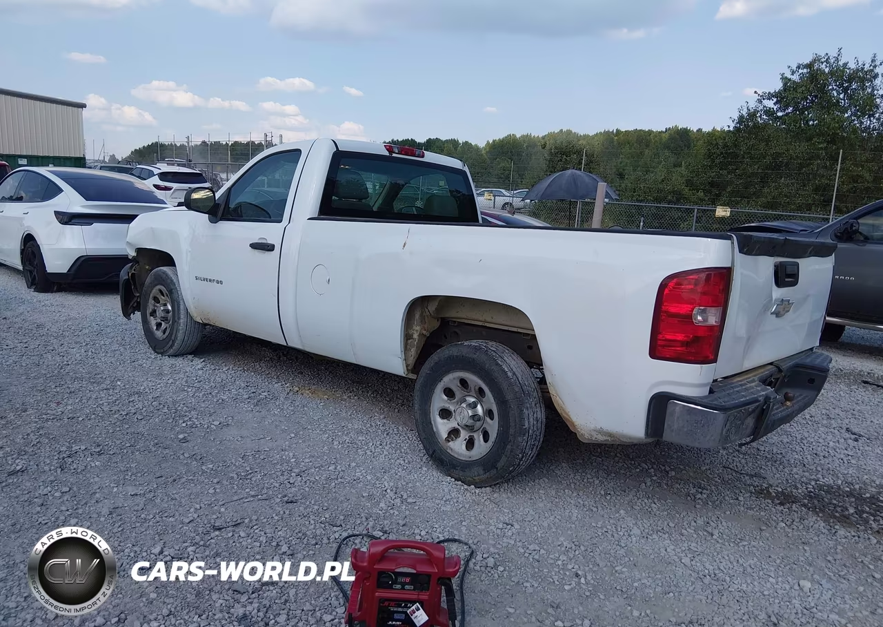 2010 Chevrolet Silverado 1500 Work Truck VIN:1GCPCPEX4AZ146631 - 3