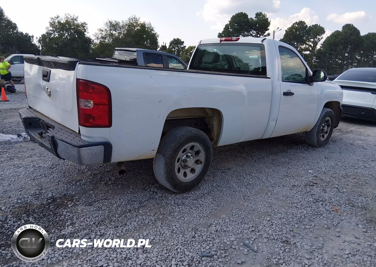 2010 Chevrolet Silverado 1500 Work Truck VIN:1GCPCPEX4AZ146631 - 4