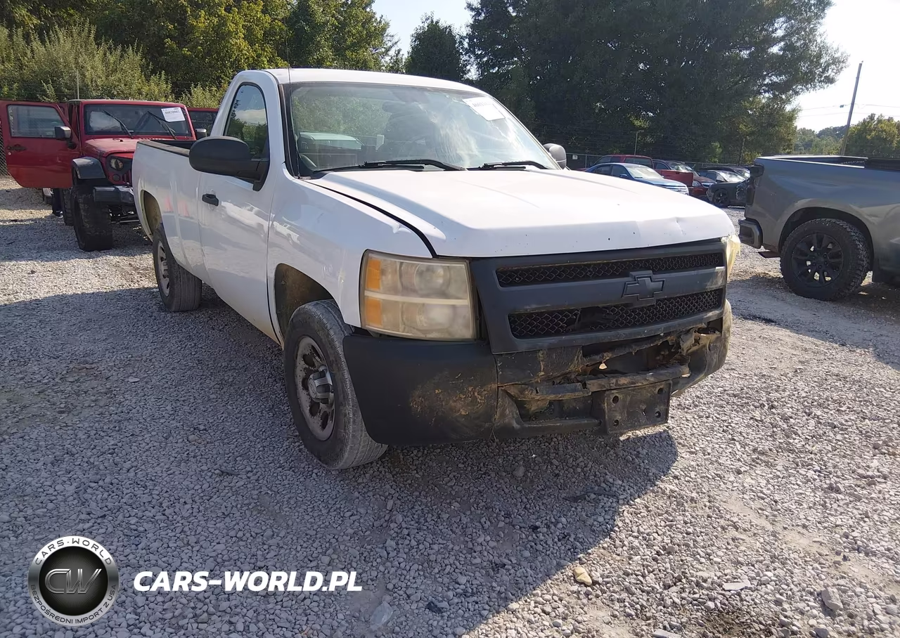 2010 Chevrolet Silverado 1500 Work Truck VIN:1GCPCPEX4AZ146631 - 6