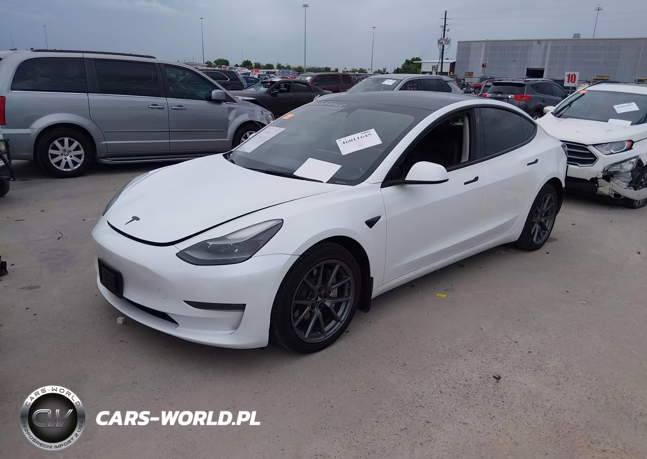2023 Tesla Model 3 Rear-Wheel Drive VIN:5YJ3E1EA8PF453350 - 2