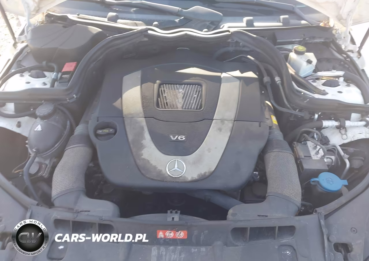 2010 Mercedes-Benz C 300 Luxury 4Matic-Sport 4Matic VIN:WDDGF8BB0AF388703 - 10