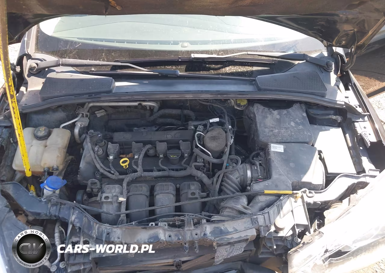 2015 Ford Focus Se VIN:1FADP3F21FL335403 - 10