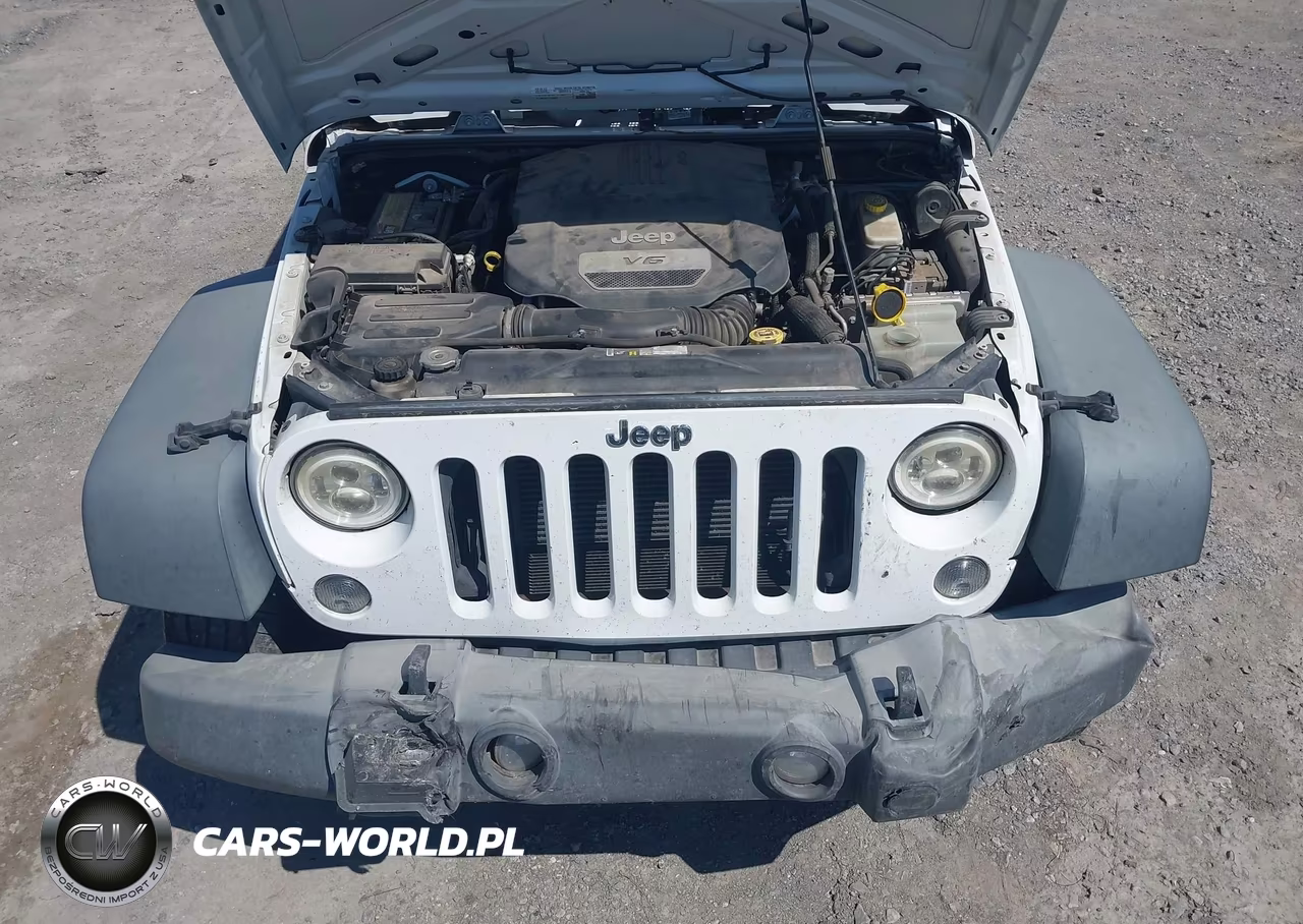 2015 Jeep Wrangler Unlimited Sport VIN:1C4BJWDG2FL659561 - 10