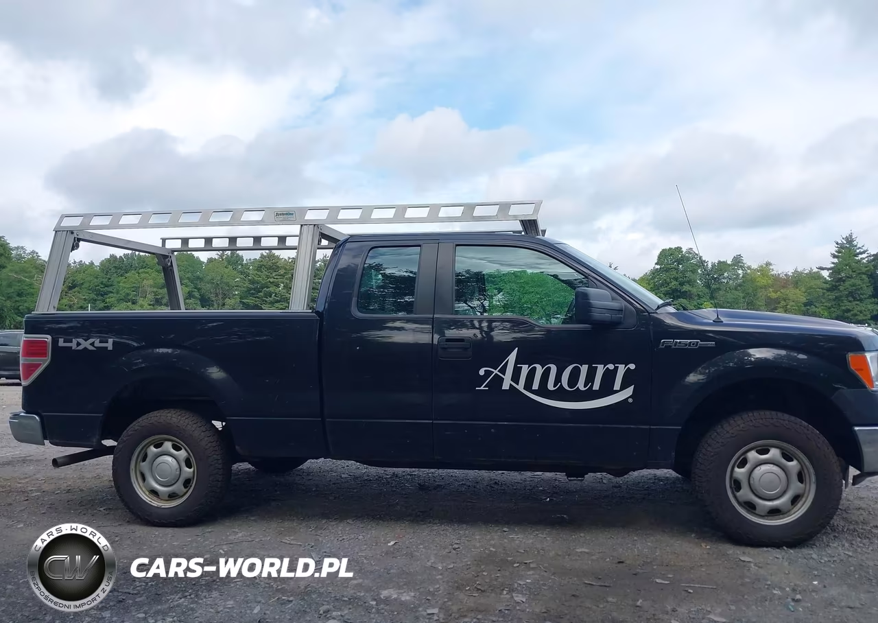 2011 Ford F-150 Xl VIN:1FTEX1EM9BFA23344 - 13