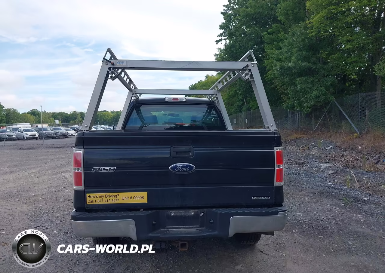 2011 Ford F-150 Xl VIN:1FTEX1EM9BFA23344 - 16