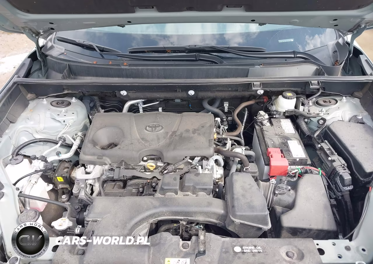 2023 Toyota Rav4 Xle Premium VIN:2T3C1RFV5PW255881 - 10