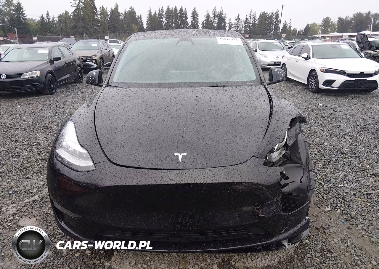 2023 Tesla Model Y Awd-Long Range Dual Motor All-Wheel Drive VIN:7SAYGAEE5PF604571 - 12