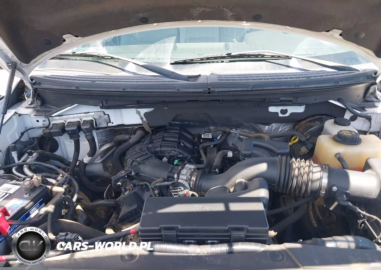 2012 Ford F-150 Xl VIN:1FTMF1CM3CKD65074 - 10