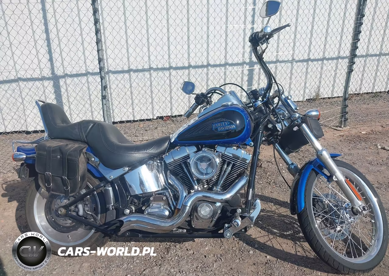 2008 Harley-Davidson Fxstc VIN:1HD1JL5118Y041060 - 12
