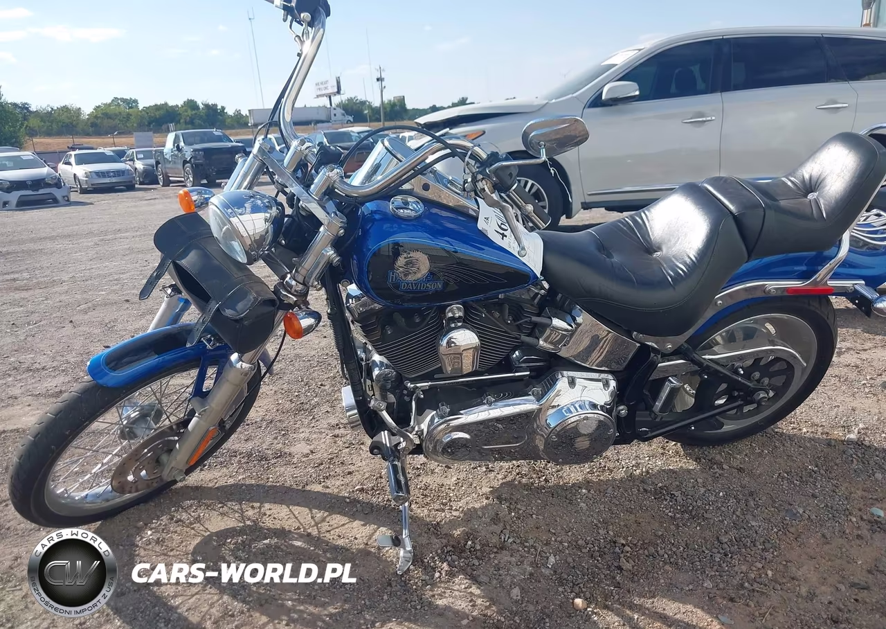 2008 Harley-Davidson Fxstc VIN:1HD1JL5118Y041060 - 13