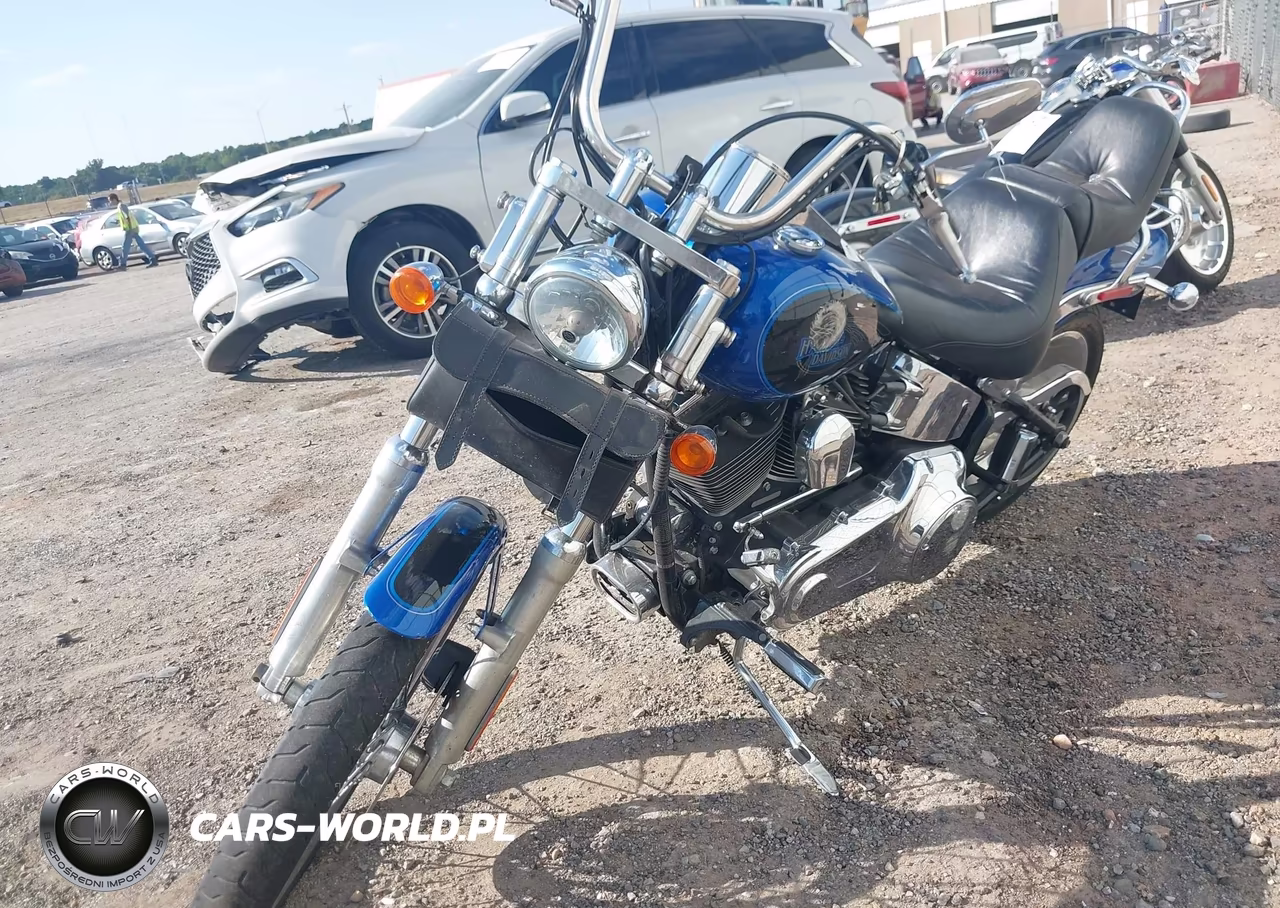 2008 Harley-Davidson Fxstc VIN:1HD1JL5118Y041060 - 2