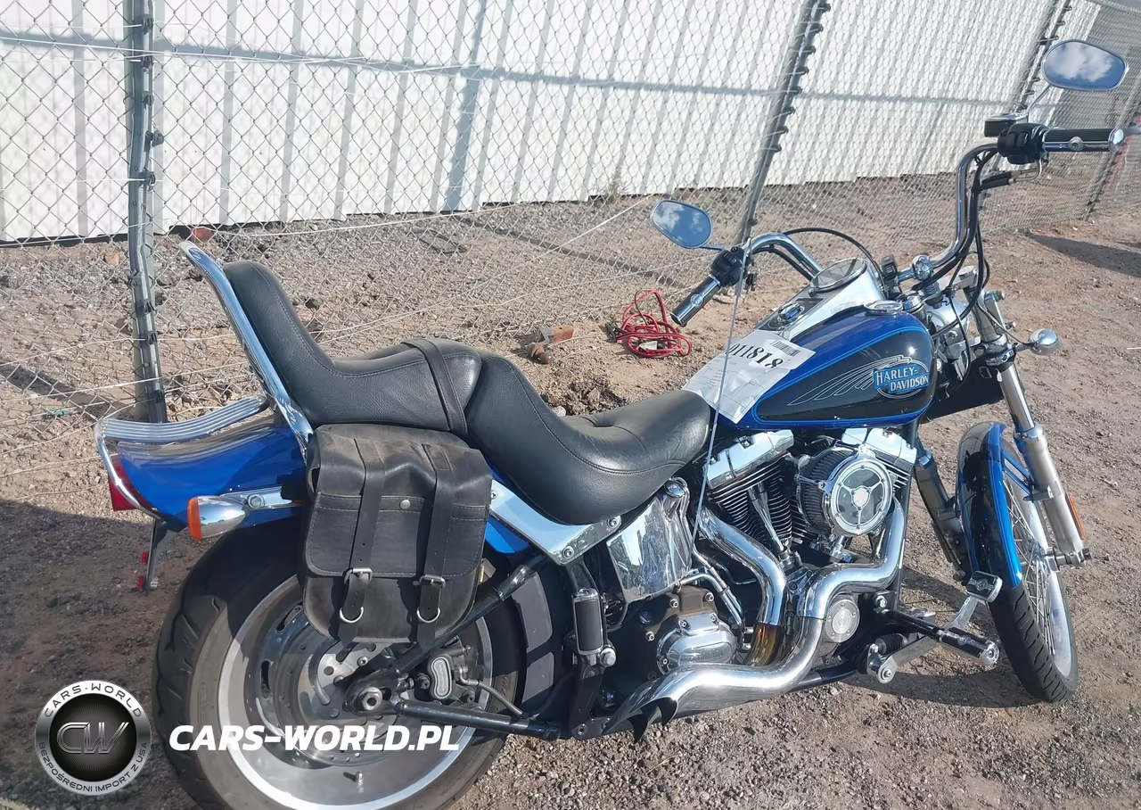 2008 Harley-Davidson Fxstc VIN:1HD1JL5118Y041060 - 4