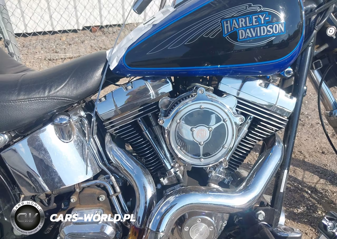 2008 Harley-Davidson Fxstc VIN:1HD1JL5118Y041060 - 8