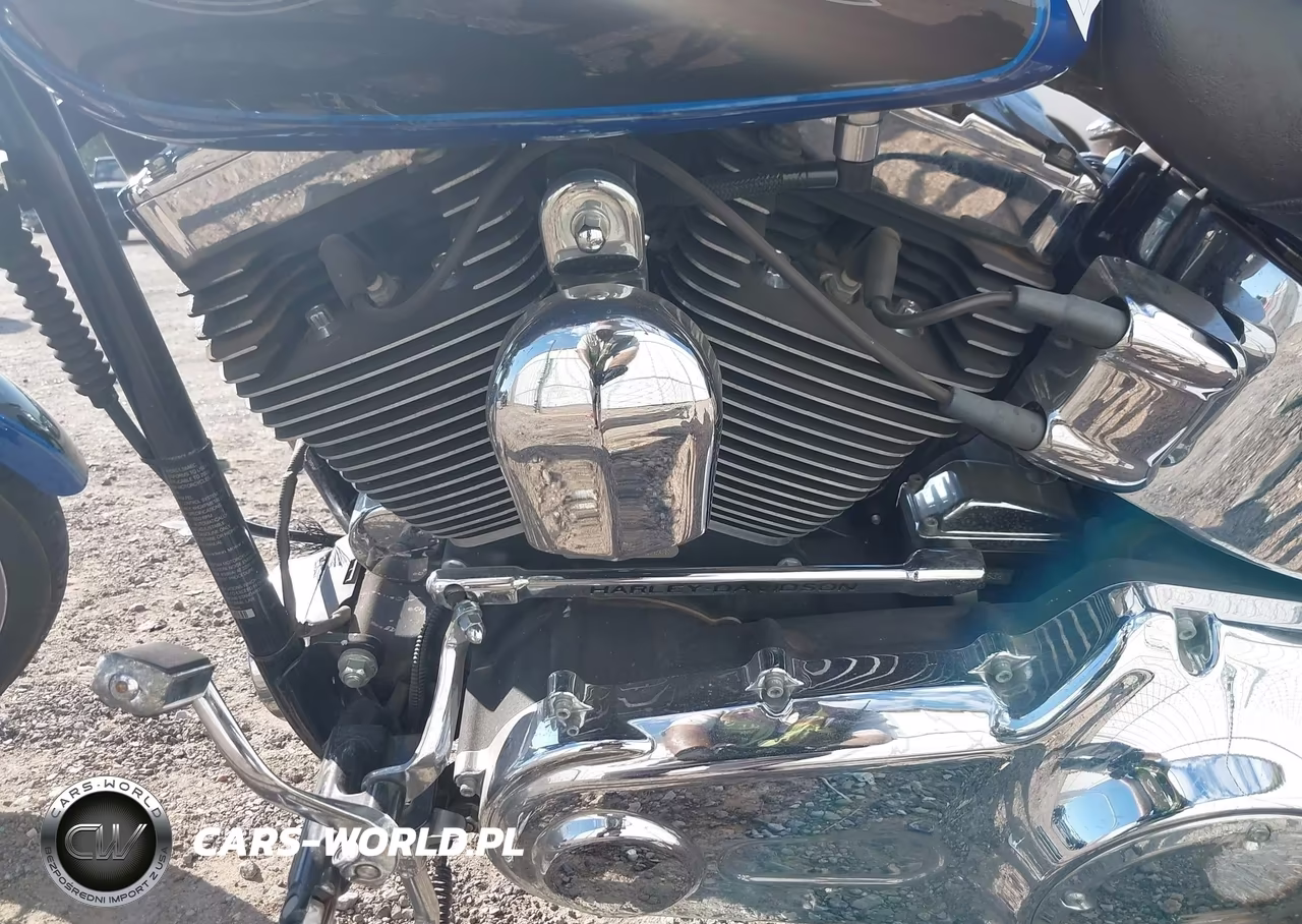 2008 Harley-Davidson Fxstc VIN:1HD1JL5118Y041060 - 9