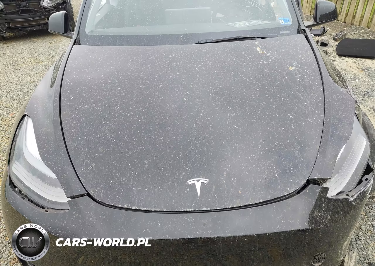 2024 Tesla Model Y Long Range Dual Motor All-Wheel Drive VIN:7SAYGDEEXRA220013 - 10