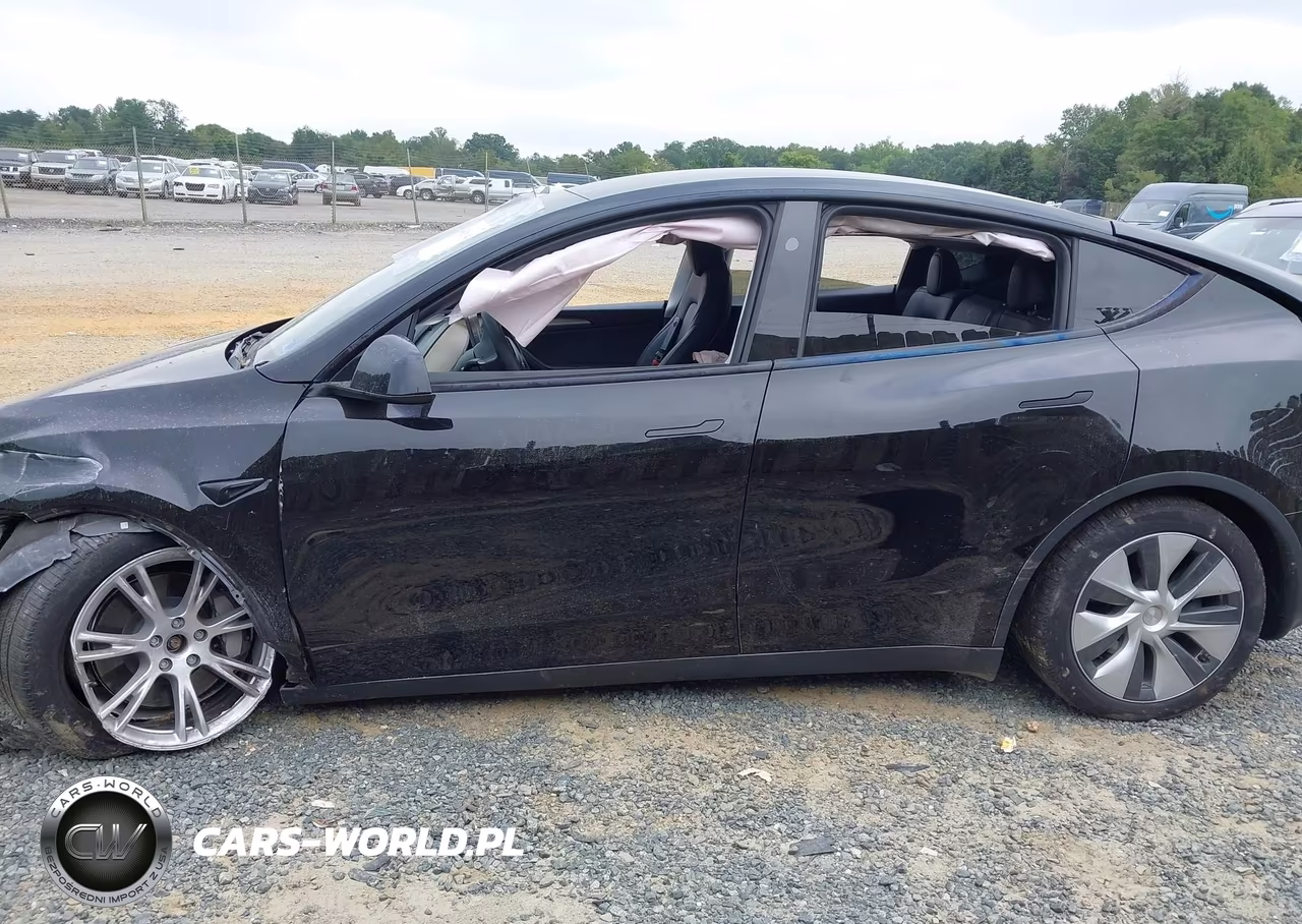 2024 Tesla Model Y Long Range Dual Motor All-Wheel Drive VIN:7SAYGDEEXRA220013 - 14