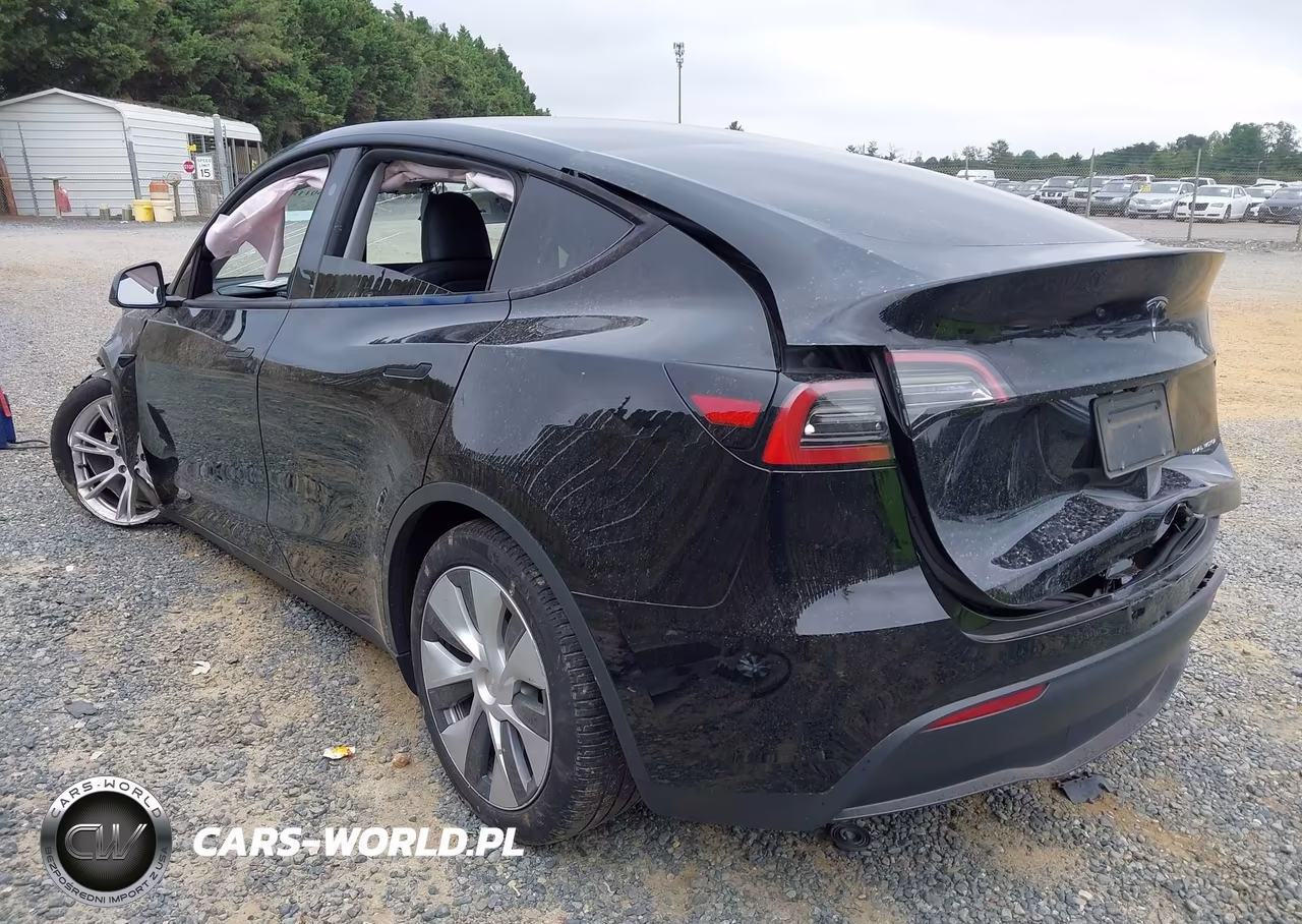 2024 Tesla Model Y Long Range Dual Motor All-Wheel Drive VIN:7SAYGDEEXRA220013 - 3
