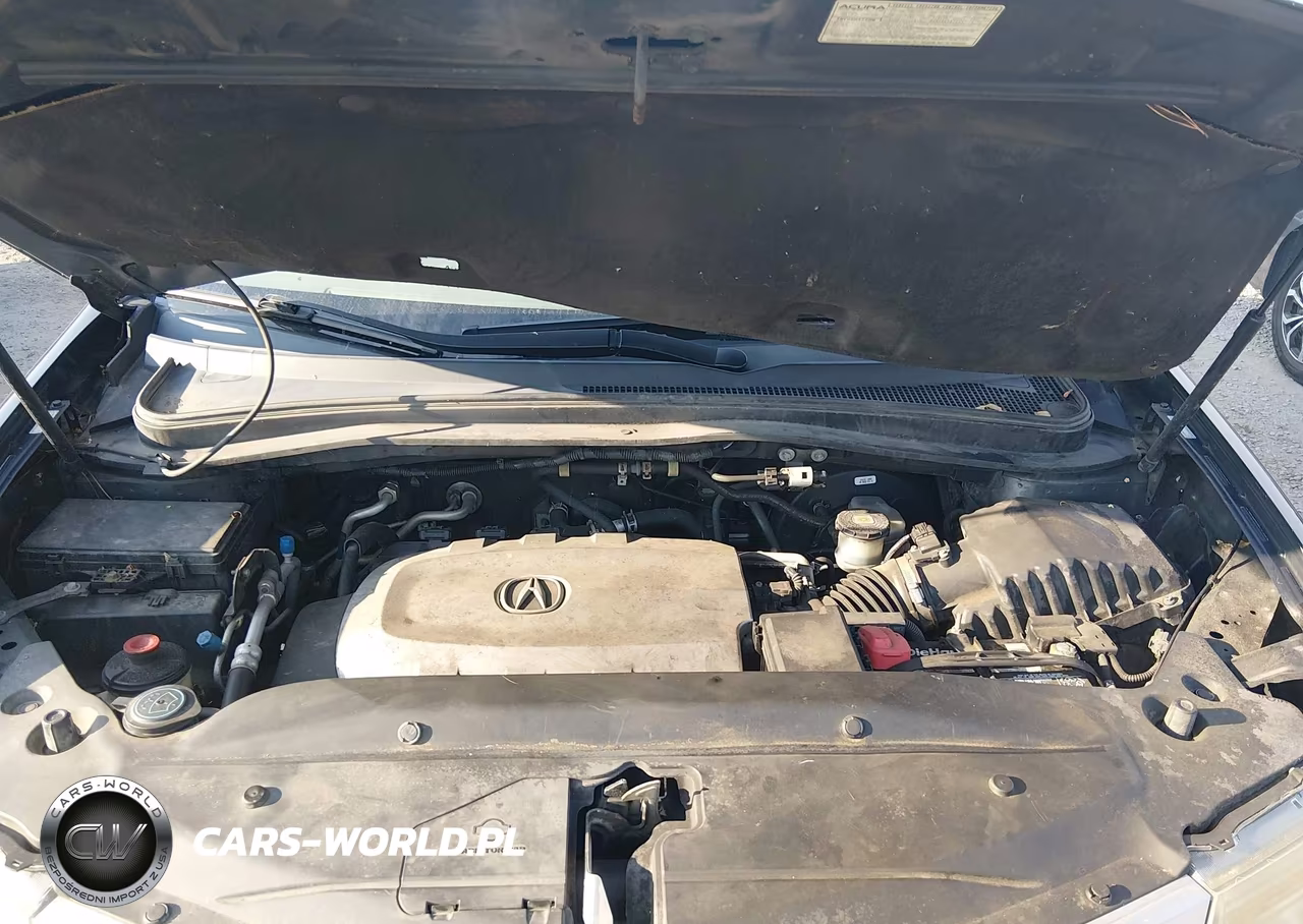 2010 Acura Mdx VIN:2HNYD2H2XAH511909 - 10