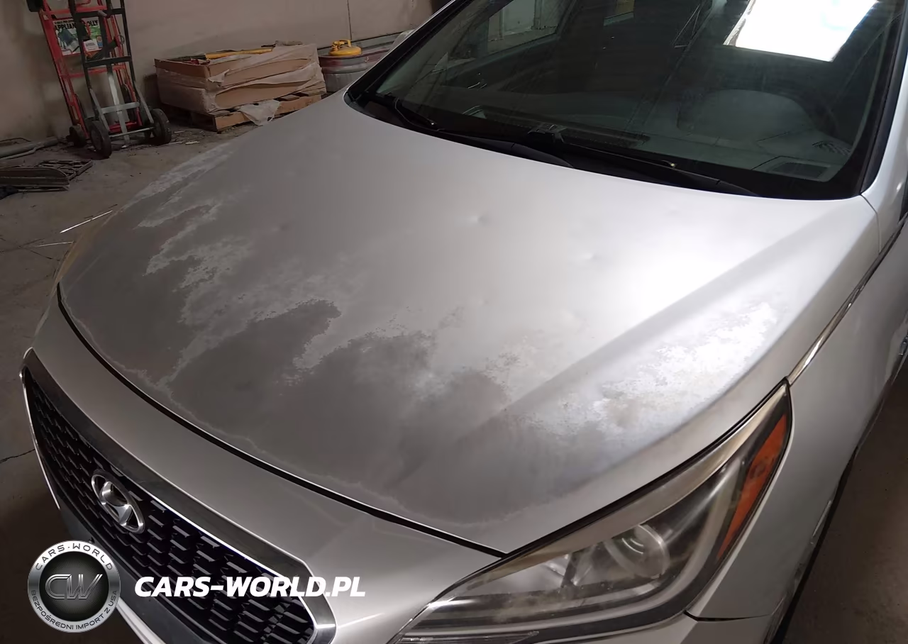2016 Hyundai Sonata Hybrid Se VIN:KMHE24L14GA040447 - 13