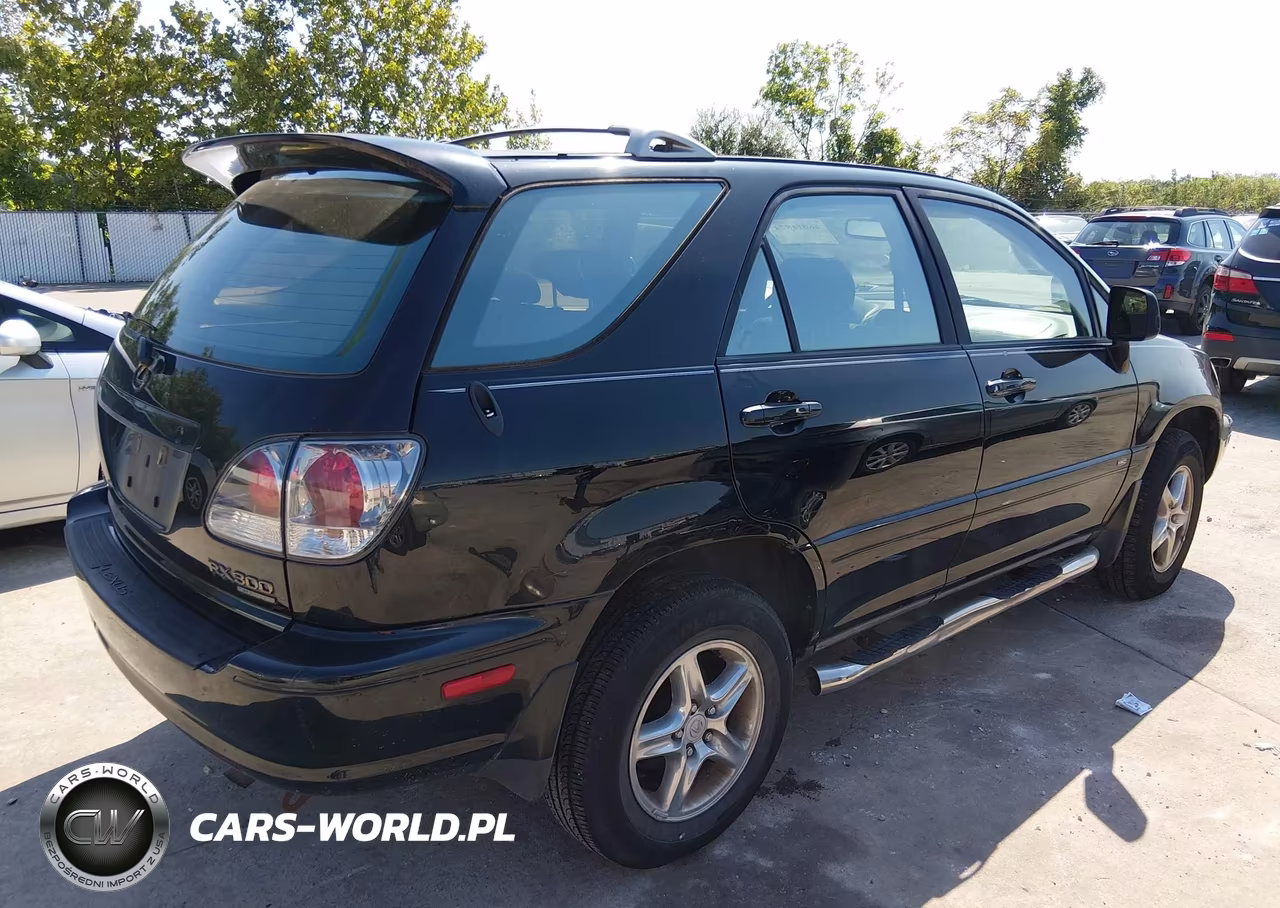 2001 Lexus Rx 300 VIN:JTJHF10U510218749 - 3
