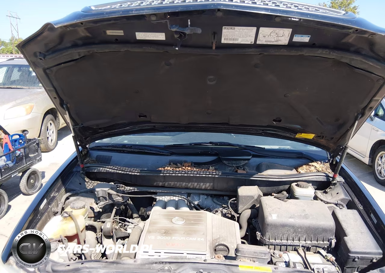 2001 Lexus Rx 300 VIN:JTJHF10U510218749 - 8